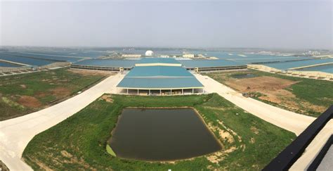 mudanjiang city mega farm